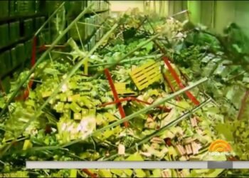 Information   Forklift coincidence creates warehouse crisis in viral video