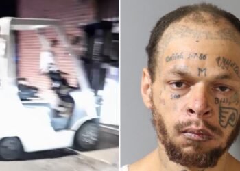 Philadelphia guy accused of occurring forklift crime rampage in Delco