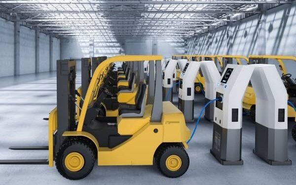 Electrical forklift gross sales surge as combustion engine fashions decline