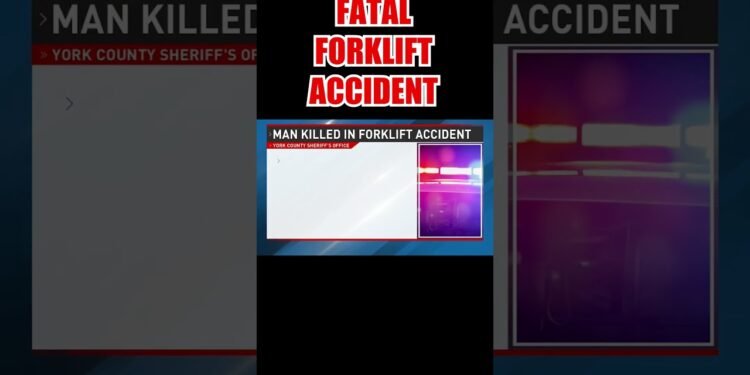 Guy killed after he used to be by chance run over via a forklift #shorts #information #replace
