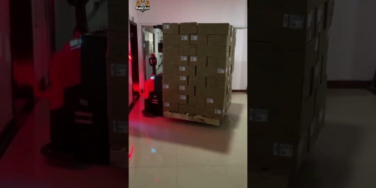 Test why our buyer invests in SuperAnt forklift robots of their warehouse