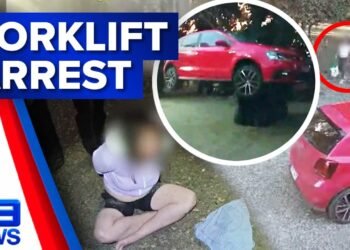 Guy makes use of forklift to forestall girl from stealing his automotive | 9 Information Australia