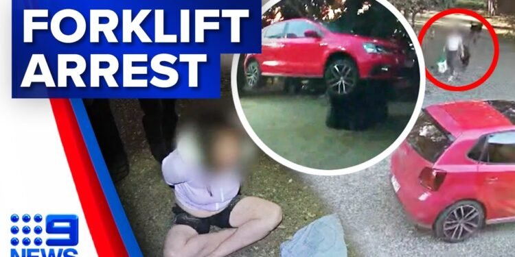 Guy makes use of forklift to forestall girl from stealing his automotive | 9 Information Australia