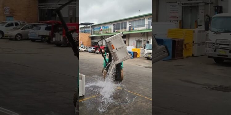 Tara Forklifts | 2.5t LPG Counter Steadiness + 360° Rotator with Bin Cling Down Palms