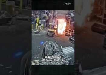 This Forklift Motive force is Fortunate to be Alive