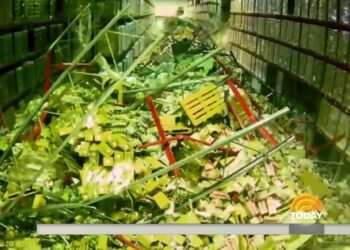 NBC Nightly information  forklift mistake