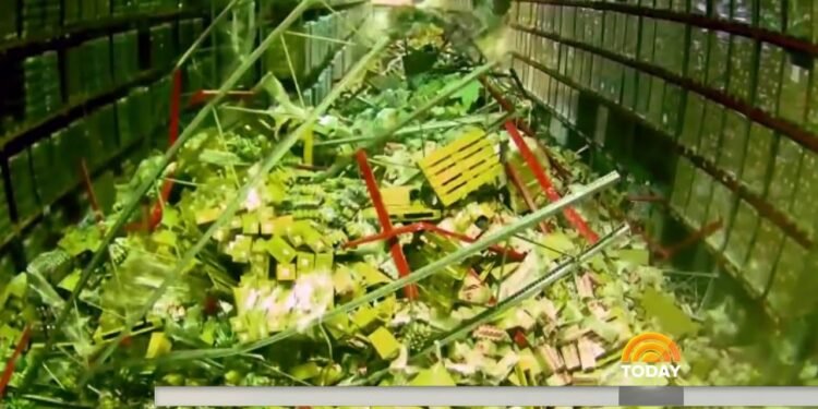 NBC Nightly information  forklift mistake