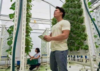 AutoStore and OnePointOne release robot vertical farm supplying Entire Meals