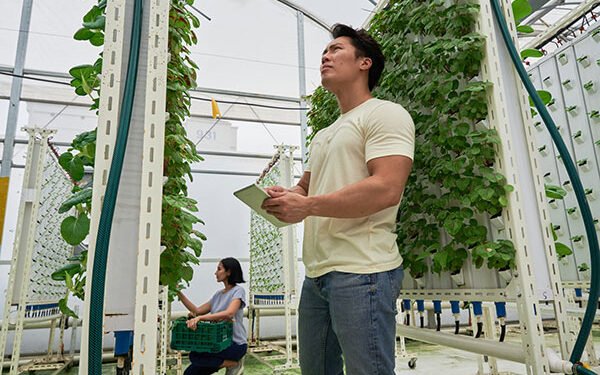 AutoStore and OnePointOne release robot vertical farm supplying Entire Meals