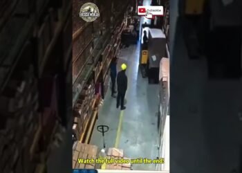 OPERATOR’S NEGLIGENCE!Heavy Forklift Load Slams Into Employee#video #viralvideo #shorts #new #forklift