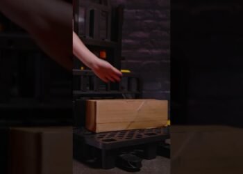 Epic Forklift Experience On For Youngsters!