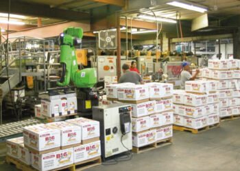 Productiveness Answer: Automating palletizing in tight areas