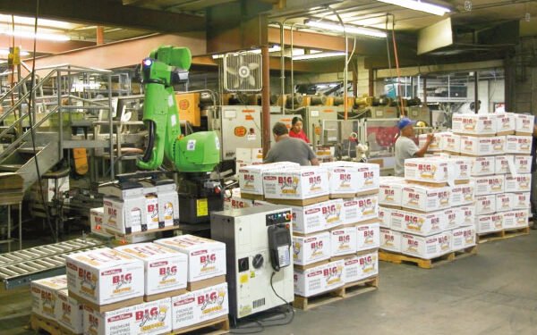 Productiveness Answer: Automating palletizing in tight areas