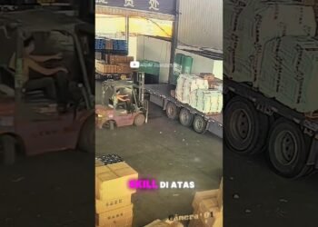 talent Forklift #operator #alatberat #forklift #using #shortvideo