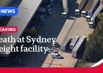Guy useless after being struck through forklift at Sydney freight centre | ABC NEWS