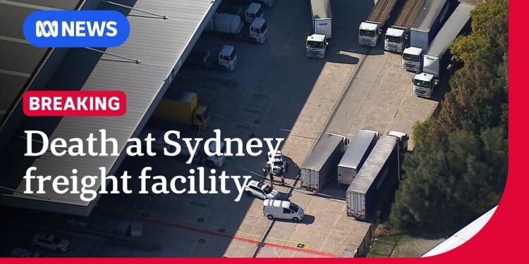 Guy useless after being struck through forklift at Sydney freight centre | ABC NEWS