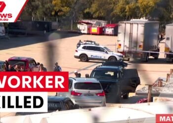 Employee killed in Matraville forklift coincidence | 7NEWS
