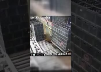 Your Forklift’s Lacking Reflex? It’s Right here.