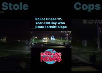Police Chase 12-Yr-Previous Boy Who Stole Forklift: Law enforcement officials @lioneyenews