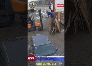 Dare to Damage the Regulations Be Able to Face the Penalties! #forklift #fails #information #viral #fyp #u.s.
