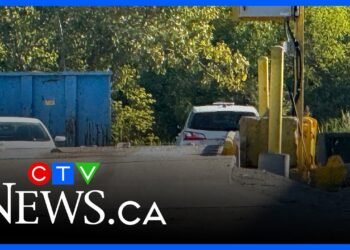 Forklift operator dies in place of job incident in Ottawa’s east finish