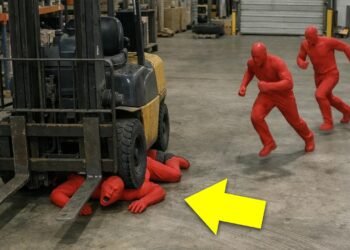 Forklift Twist of fate Stuck on Digital camera