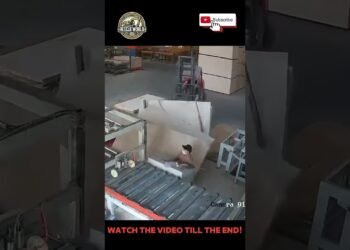 Surprising! This Employee Used to be Overwhelmed by way of a Forklift Load Whilst at the Process!#video#viralvideo#shorts#information
