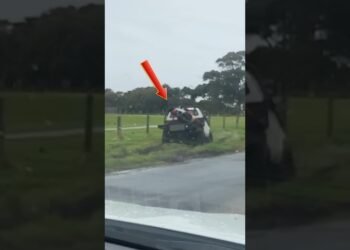 When Gravity Teaches Forklift Drivers A Laborious Lesson #shorts