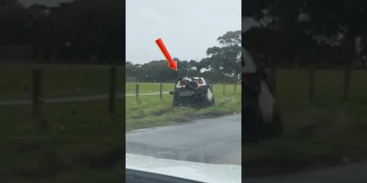 When Gravity Teaches Forklift Drivers A Laborious Lesson #shorts