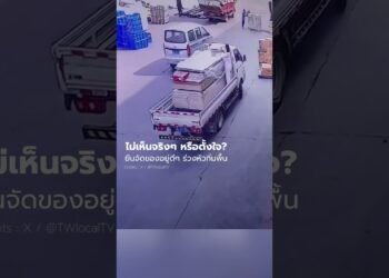 🚜😱💥Forklift Coincidence Turns Into Overall Chaos #FloraFauna #Shorts