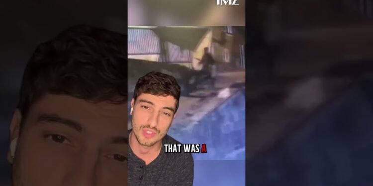 A brazen jewellery thief rammed a shop with a forklift — then made his getaway on a donkey. 🫏💰
