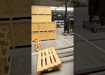 Appearing Abilities #forklift #shorts