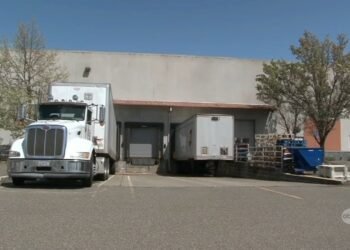 Bay House forklift operator beaten to dying through pallet of wine: government