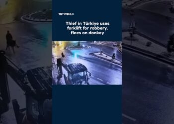 Thief makes use of forklift for theft, flees on donkey
