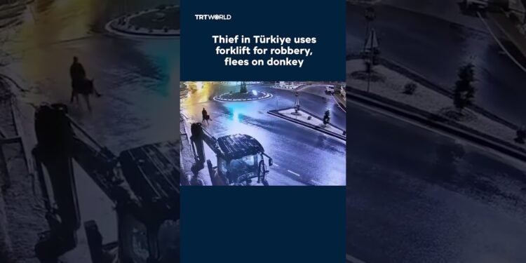Thief makes use of forklift for theft, flees on donkey
