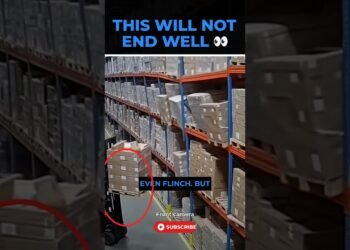 Forklift Driving force Makes One Deadly Mistake