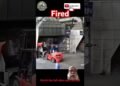 The New Which means of Fired #hearth #Forklift