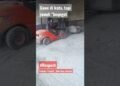 Appreciate #Forklift #barbar #shorts