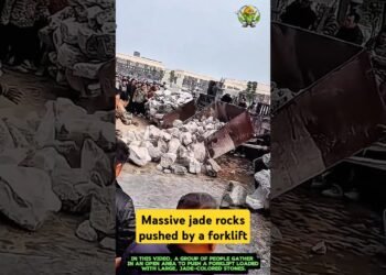 Large jade rocks driven by way of a forklift- Just right gear and equipment can build up paintings potency