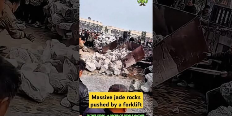 Large jade rocks driven by way of a forklift- Just right gear and equipment can build up paintings potency