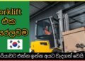 Forklift එක සරලවම/ Dushan/ Vlog #3
