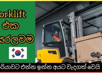 Forklift එක සරලවම/ Dushan/ Vlog #3