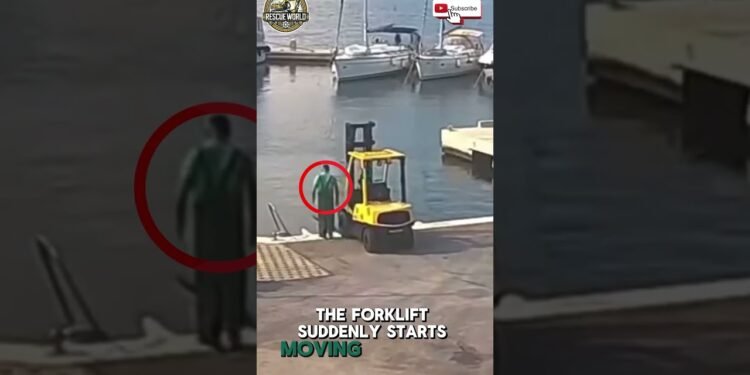 Operator’s Mistake Reasons Forklift to Plunge into Harbor Waters! #fails #information #forklift #shorts #fyp