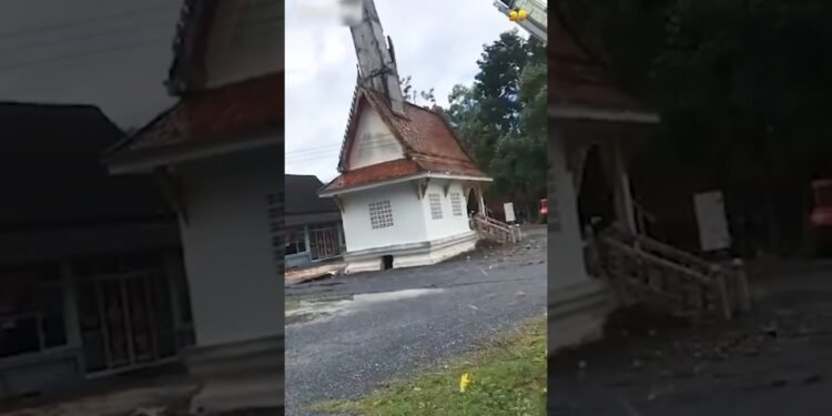 Crane & Forklift Mayhem #shorts